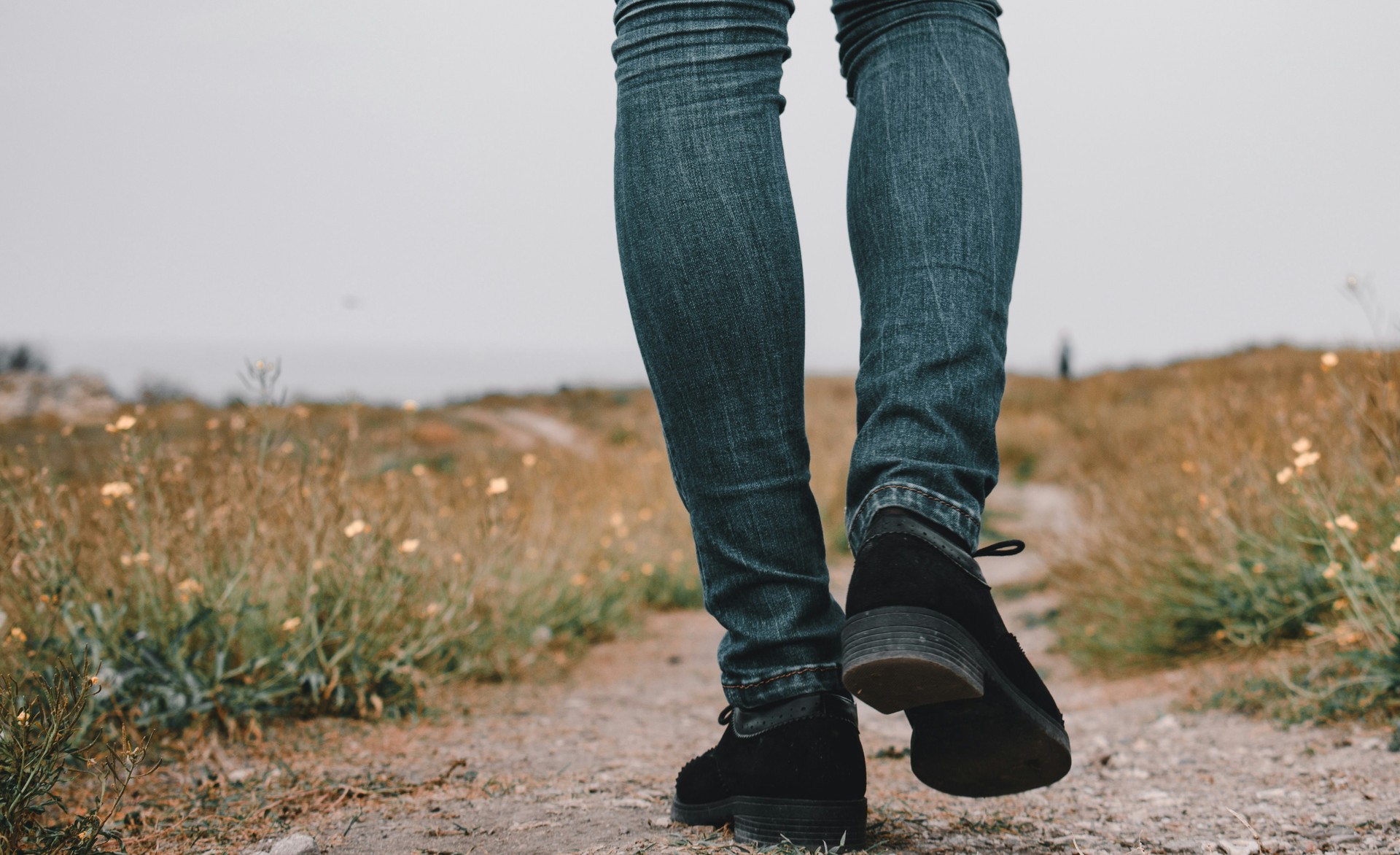 Alternative Text missing