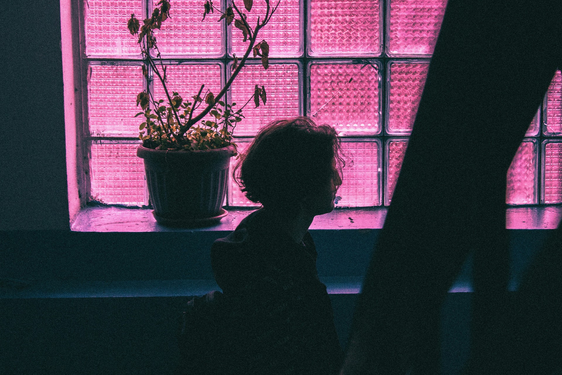 Alternative Text missing