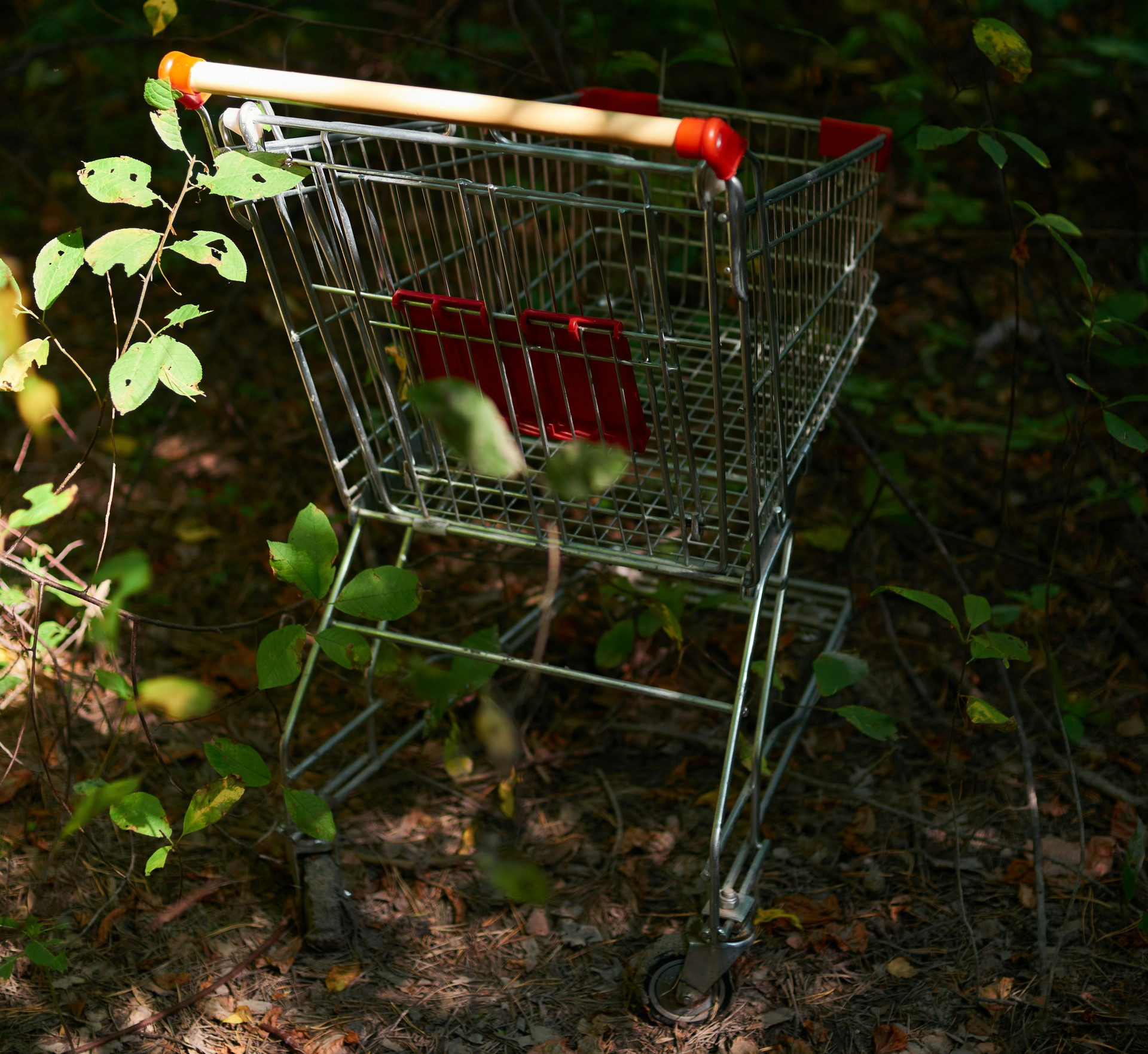 Alternative Text missing